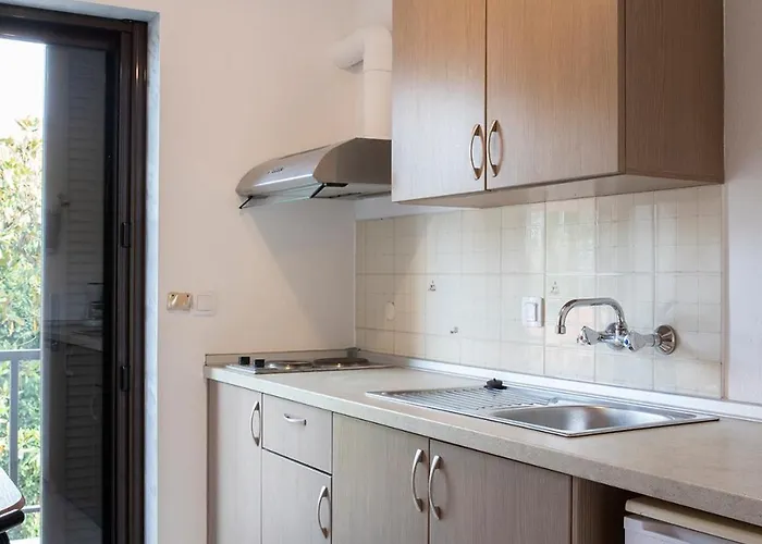 Manos Kritikakis Hotel de apartamente Platamonas